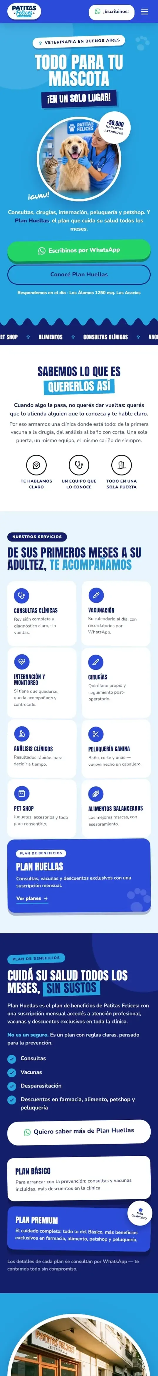 La misma página en un celular