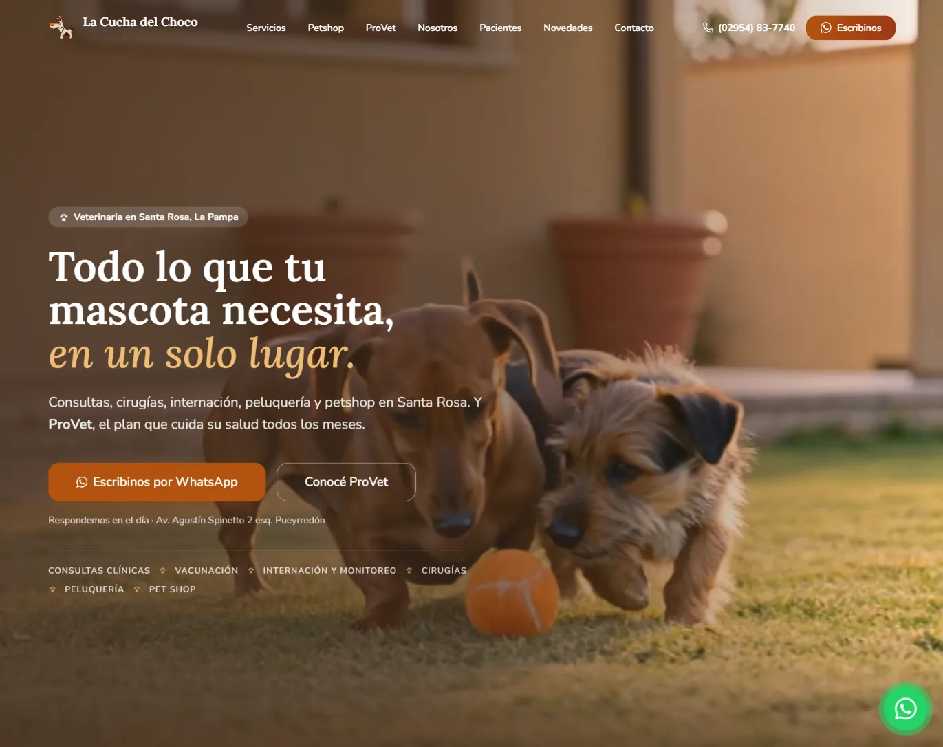 Página de inicio de La Cucha del Choco